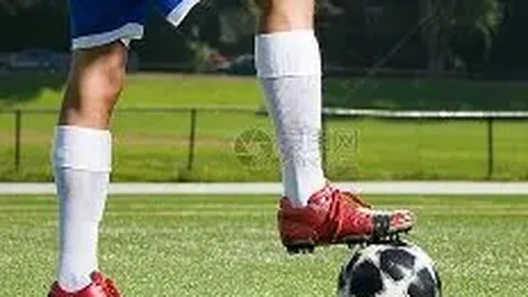 央视坚定支持樊振东、陈梦：WTT新规则引发广泛讨论，强调运动员核心地位