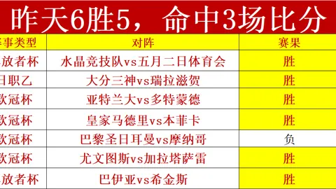 巅峰对决：马斯特里赫特激战阿尔梅勒城，实力较量一触即发！